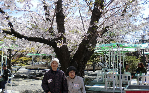 お花見