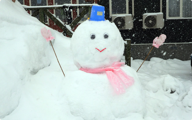 花の雪明り