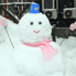 花の雪明り