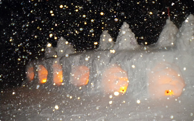 花の雪明り