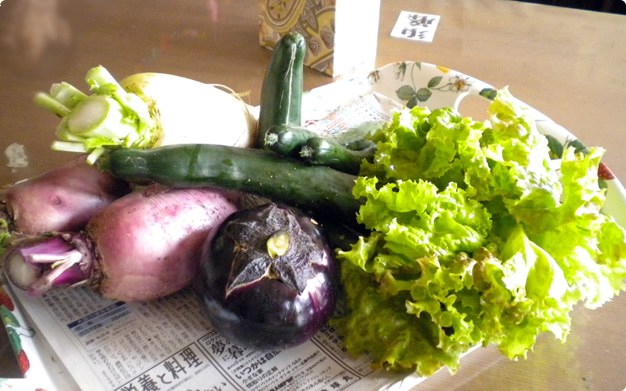 花の畑での収穫野菜