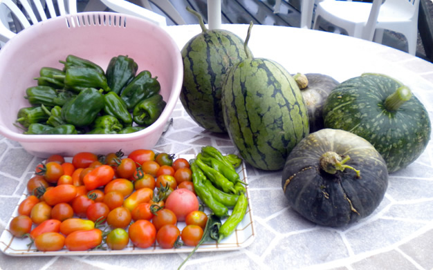 花の畑での収穫野菜